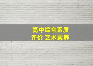 高中综合素质评价 艺术素养